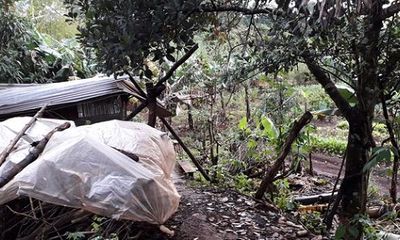Gia Lai: Đi phát cỏ trúng dây điện trong vườn nhà, cụ ông 81 tuổi bị điện giật tử vong