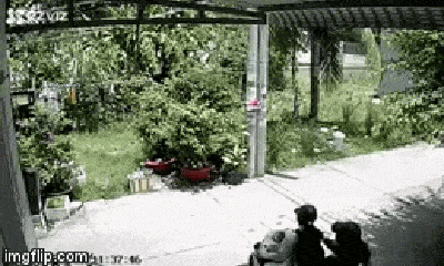 Video: Bất ngờ bị chó đuổi, 2 cô gái la hét ầm ĩ rồi lao thẳng xe máy vào bụi cây