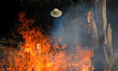 Khủng hoảng cháy rừng Amazon: Pháp dọa bỏ hiệp định thương mại EU-Brazil