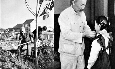 Chủ tịch Hồ Chí Minh với sự nghiệp Trồng cây và Trồng người