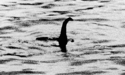 Huyền thoại hồ Loch Ness: Không tìm thấy ‘ADN quái vật’