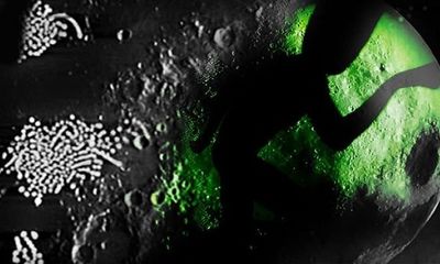 Tiếp tục lộ hình ảnh cấu trúc lạ trên Mặt trăng, nghi là của người ngoài hành tinh