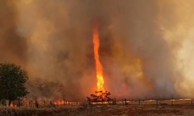 Video: Rợn người cảnh vòi rồng lửa cực hiếm bất ngờ quét qua trang trại khiến nông dân tá hỏa 
