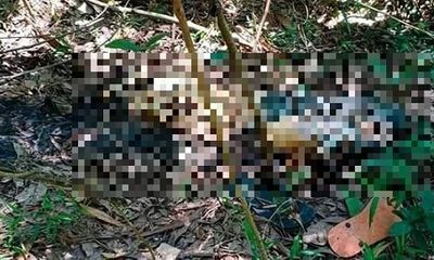 Bắc Giang: Phát hiện thi thể thiếu niên 17 tuổi trong rừng sau khi mất tích hơn 1 tháng