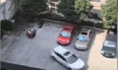 Video: Ngao ngán trước màn lùi xe “vào chuồng” 15 lần không xong của tài xế Trung Quốc