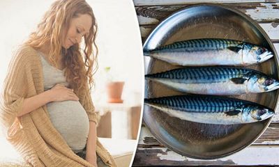 5 loại cá thèm mấy mẹ bầu cũng không được đụng đũa tránh gây hại cho thai nhi