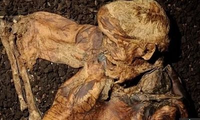 Tìm thấy xác ướp người đàn ông 2.000 năm tuổi gần như nguyên vẹn vùi sâu dưới đầm lầy ở Anh