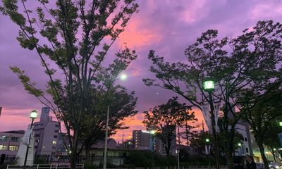 Cận cảnh bầu trời Nhật Bản đổi màu tím kỳ lạ trước khi siêu bão Hagibis đổ bộ