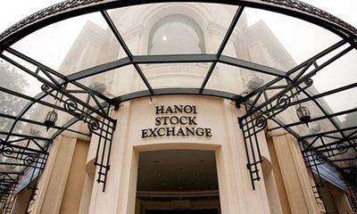 Sắp đấu giá cổ phần của CTCP Xuất nhập khẩu Haneco