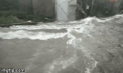 Mưa lớn, nước chảy cuồn cuộn như lũ quét ở Nghệ An khiến nhiều người khiếp sợ