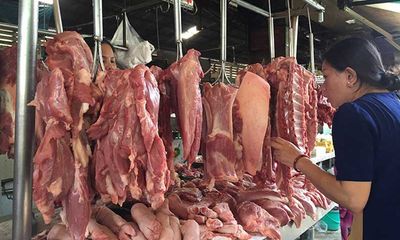 Việt Nam xem xét nhập khẩu thịt lợn để bình ổn giá trong nước