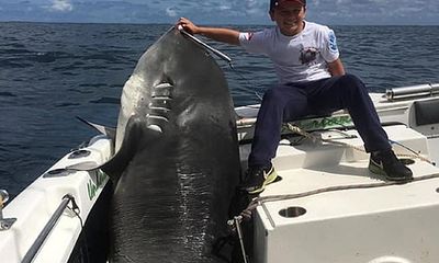Cần thủ 8 tuổi gây bất ngờ khi câu được con cá mập sát thủ nặng 314kg