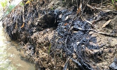 Khởi tố vụ nước sạch sông Đà bị nhiễm bẩn do đổ dầu thải