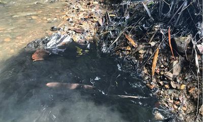 Vụ nghi đổ trộm dầu thải gây ô nhiễm nguồn nước sông Đà: Bắt khẩn cấp 2 đối tượng