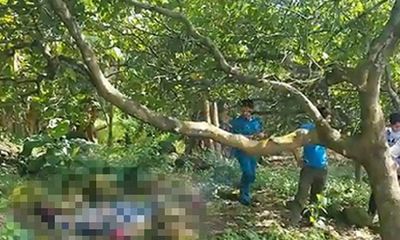 Người đàn ông tử vong bí ẩn trong vườn điều ở Đồng Nai