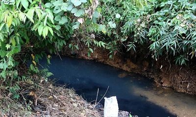 Vụ nước sạch Sông Đà nhiễm dầu: Triệu tập 2 người liên quan