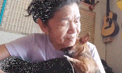 Video: Cụ bà 70 ngồi hát bên chú chó nhỏ đốn tim cư dân mạng