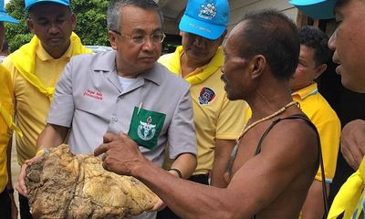 Thái Lan: Ngư dân tìm thấy vật thể lạ, nghi Long Diên Hương trị giá 500.000 USD
