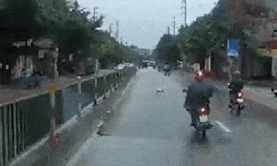 Video: Tránh chó thả rông chạy qua đường, tài xế xe máy ngã sõng soài 