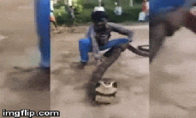 Video: Hốt hoảng màn giải cứu rắn hổ mang chúa siêu to khổng lồ