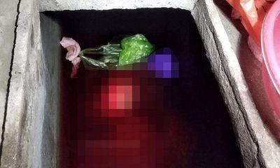Thái Bình: Bắt con rể sát hại mẹ vợ, vứt xác vào bể nước phi tang