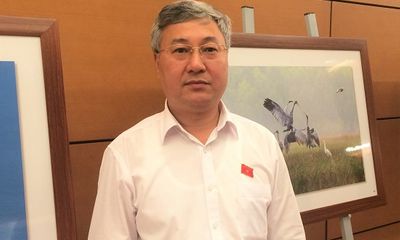 ĐBQH Trần Văn Lâm: Tránh góc nhìn “thiên kiến” về doanh nghiệp tư nhân