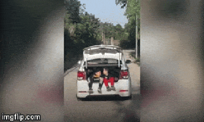 Video: Thót tim 2 bé trai ngồi trong cốp ô tô vi vu trên đường