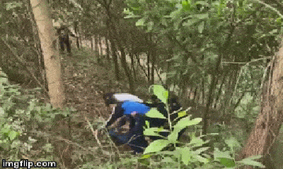 Video: Bắt giữ nghi phạm vụ thảm án Thái Nguyên khi đang lẩn trốn trên đồi