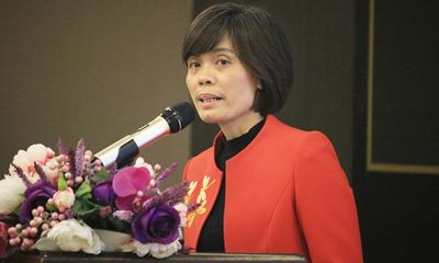Giải pháp nâng cao năng lực tư vấn pháp luật cho tư vấn viên, cộng tác viên của hội Luật gia Việt Nam
