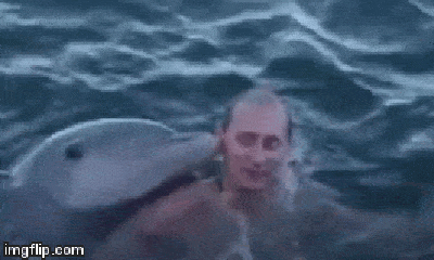 Điện Kremlin công bố clip hiếm ông Putin bơi cùng cá heo vượt sóng Cuba