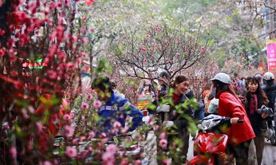 Hà Nội: Cấm đường 16 ngày liên tiếp phục vụ Tổ chức chợ Hoa Xuân năm 2020