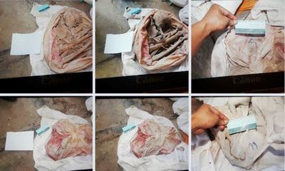 Lại phát hiện thêm 7 bộ xương người trong vườn cao su ở Tây Ninh