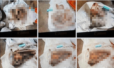 Vì sao không khởi tố vụ phát hiện 9 bộ xương người tại Tây Ninh?