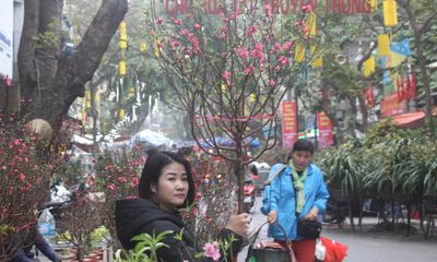 Người dân nô nức ghé thăm phiên chợ hoa Tết lâu đời nhất Hà Nội trong ngày rét ngọt 