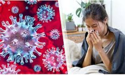 Nhiễm virus corona và cảm cúm, cảm lạnh thông thường khác nhau thế nào?