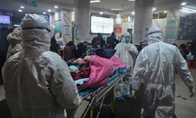 Tình hình dịch virus corona ngày 8/2: Hơn 700 người tử vong, nghi ngờ vật chủ trung gian mới
