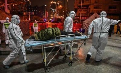 Cập nhật mới nhất về dịch corona: Trung Quốc thêm 81 người tử vong, 36.600 người nhiễm bệnh