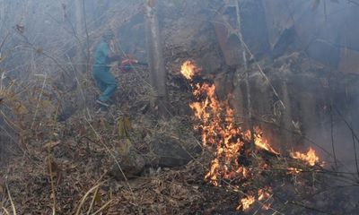 Bà Rịa – Vũng Tàu: Chữa cháy rừng, phát hiện thi thể đang phân hủy