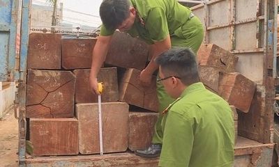 Gia Lai: Khởi tố đối tượng vận chuyển gỗ lậu, đánh trọng thương 2 cán bộ kiểm lâm