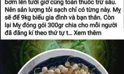 Tung tin sai về tỏi Lý Sơn, chủ tài khoản Facebook Lương Hoàng Anh bị phạt 12,5 triệu đồng