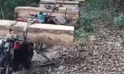 Bắt quả tang cả đoàn xe máy của lâm tặc vận chuyển gỗ lậu ở Kon Tum
