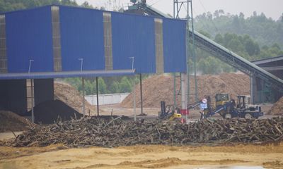 Người dân ‘kêu trời’ vì nhà máy chế biến gỗ gây ô nhiễm?