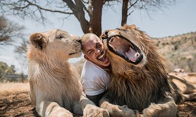 Video: Đàn sư tử vui mừng chào đón người từng chăm sóc sau thời gian xa cách
