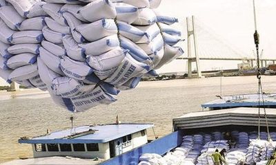 Việt Nam tạm dừng xuất khẩu gạo từ ngày 24/3