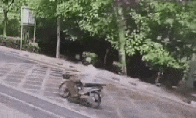 Video: Rợn người cảnh cây đổ trúng tài xế xe máy đang đi tốc độ cao