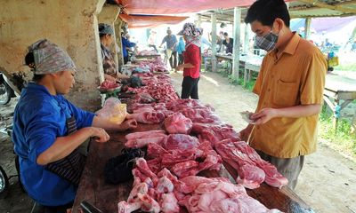 Từ 1/4 đồng loạt giảm giá lợn hơi về mức 70.000 đồng/kg