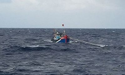 Bình Định: Đánh bắt thủy sản trái phép, 4 chủ tàu cá bị phạt 3,6 tỉ đồng