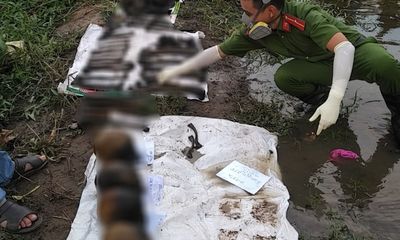 Phát hiện 4 bộ xương người gần sông Sài Gòn, công an lấy mẫu xét nghiệm ADN