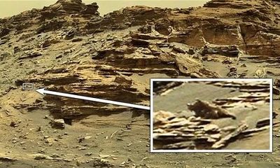 Thợ săn UFO phát hiện 'thằn lằn ngoài hành tinh' trên Sao Hỏa