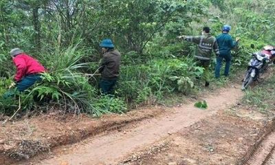 Quảng Ninh: Tìm thấy bé trai gần 3 tuổi bị lạc trong rừng